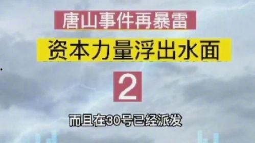唐山爆料人录音视频,现场惊心动魄一幕  第2张