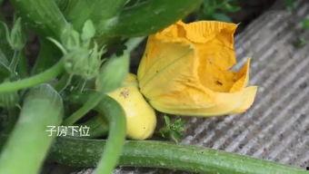 福山网红吃瓜群微信号,揭秘娱乐圈幕后故事 第3张 福山网红吃瓜群微信号,揭秘娱乐圈幕后故事 第3张